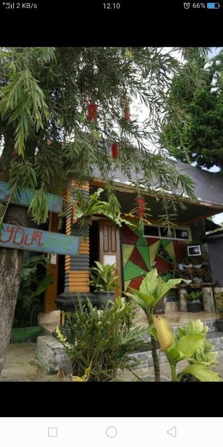 Isi Langa Home Stay Bajawa Exterior photo